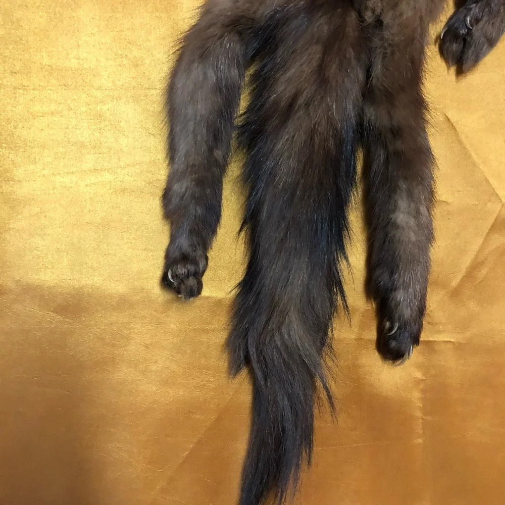 Elegant Brown Fur/Mink Collar - Picture 8 of 12